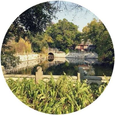 九游命运守护战歌最新版下载