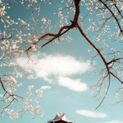 王城无双复古打金bt版下载